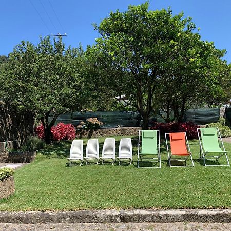 Casa Praia E Campo Viana do Castelo Eksteriør billede