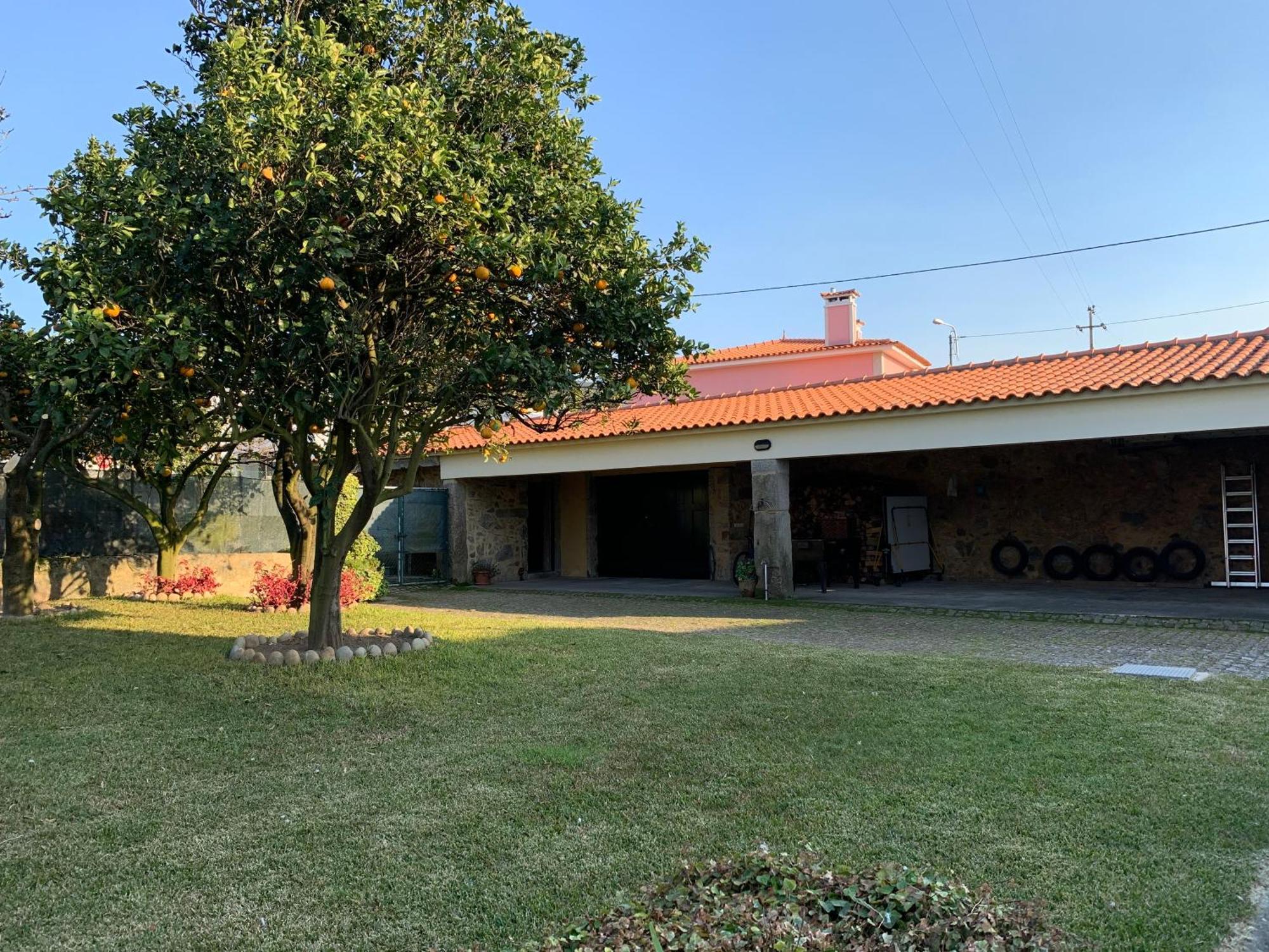 Casa Praia E Campo Viana do Castelo Eksteriør billede